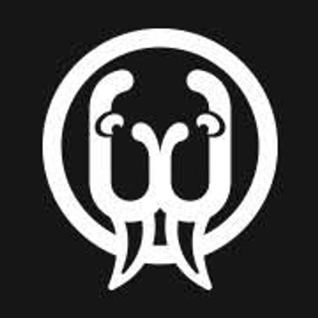 Walrus Audio