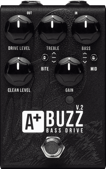 Buzz V.2