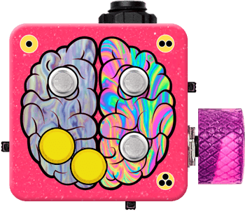 Left Brain