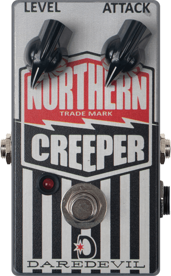 Northern Creeper