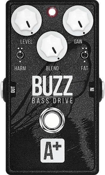Buzz