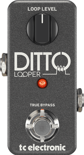 Ditto Looper