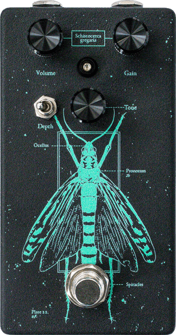 Locust