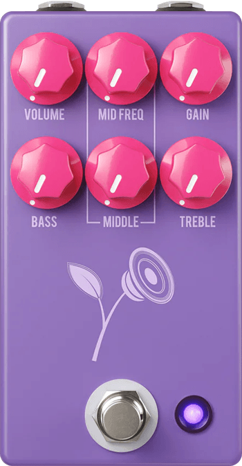 The Violet