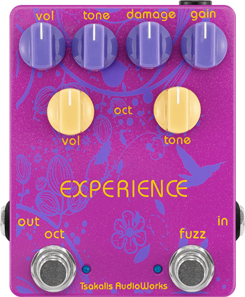 Experience