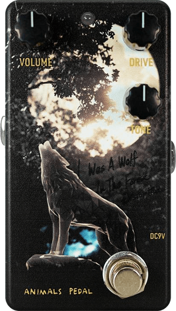 036 I Was A Wolf In The Forest Distortion