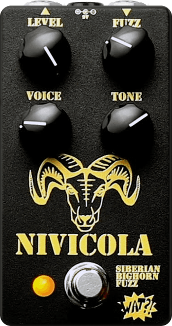 Nivicola