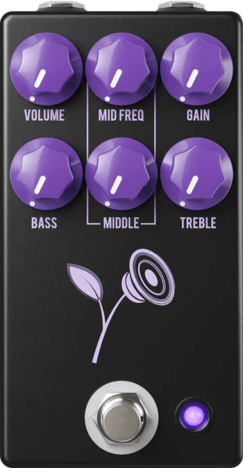 The Violet (Black)