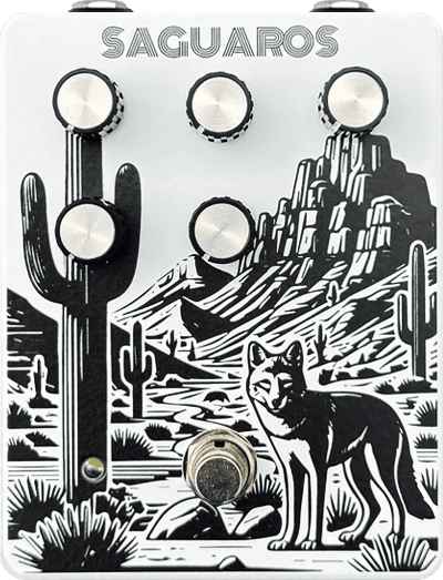 JRS: Saguaros