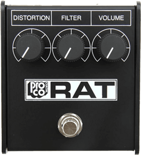 Rat