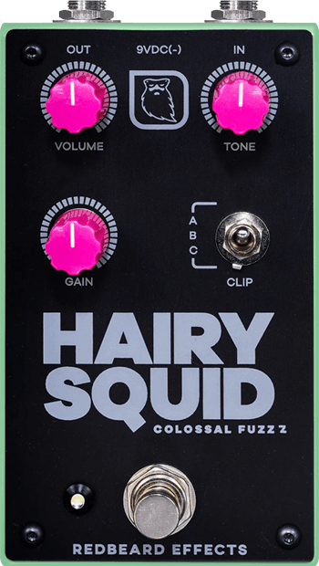 Hairy Squid