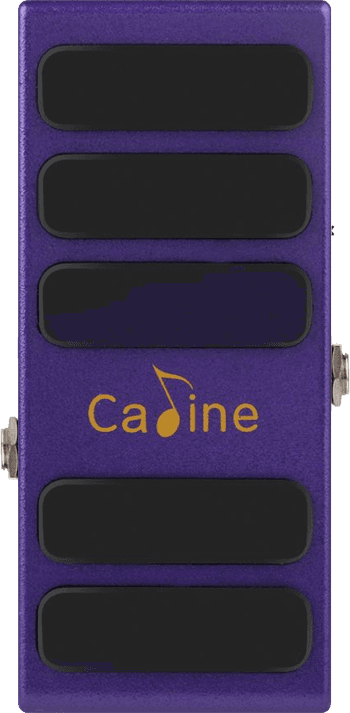 CP-31 Purple Wah
