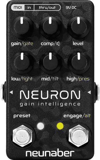 Neuron