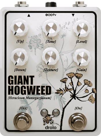Giant Hogweed
