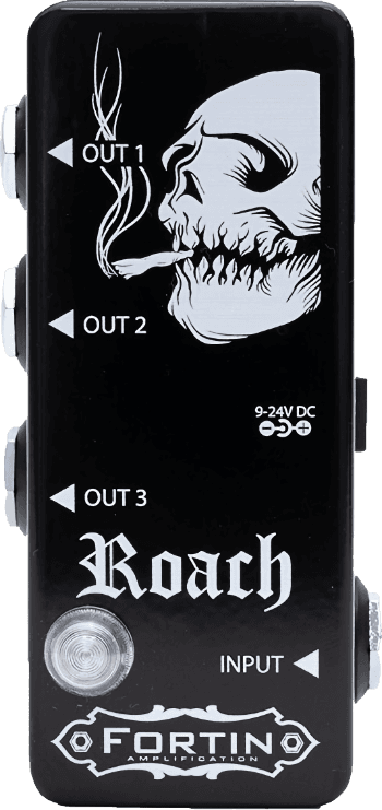 Roach