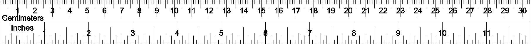 12 Inch Ruler
