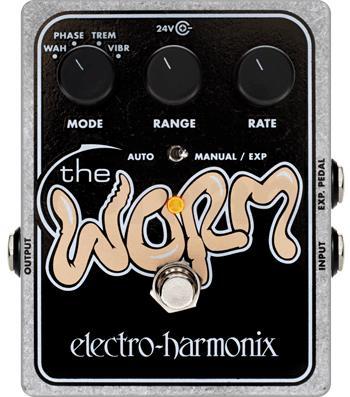 The Worm