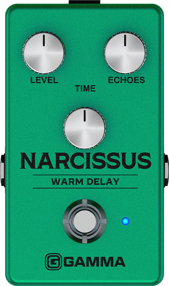 Narcissus