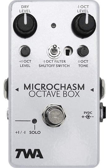 Microchasm